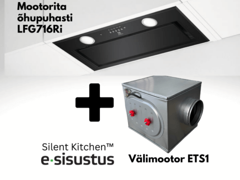 Electrolux mootorita must H2H õhupuhasti LFG716R + välimootor ETS1