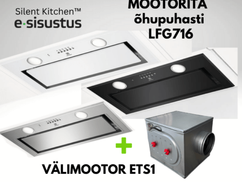 Electrolux mootorita H2H õhupuhasti LFG716i + välimootor ETS1
