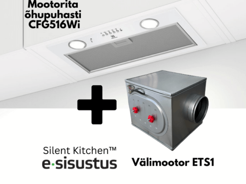 Electrolux mootorita valge H2H õhupuhasti CFG516Wi + välimootor ETS1