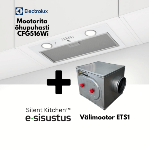 Electrolux mootorita valge H2H õhupuhasti CFG516Wi + välimootor ETS1