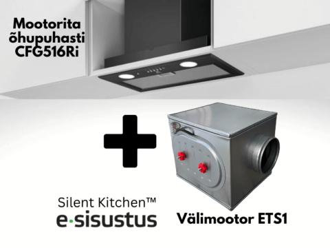 Electrolux must mootorita H2H õhupuhasti CFG516Ri + välimootor ETS1