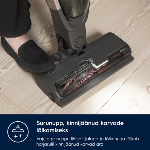 Electrolux cordless 500 juhtmeta varstolmuimeja ES52B25WET - Image 16