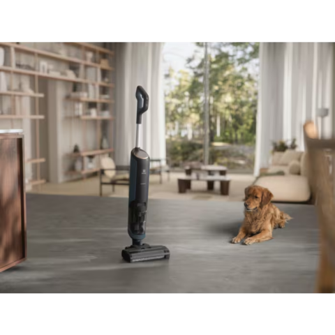 Electrolux pesev varstolmuimeja 800 Seeria Ultimate Wet & Dry EW81U3DB