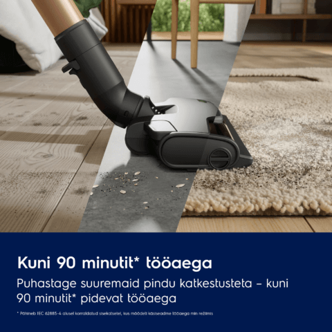 Electrolux juhtmevaba tolmuimeja Hygienic UV 800 Seeria EP83HB25UV