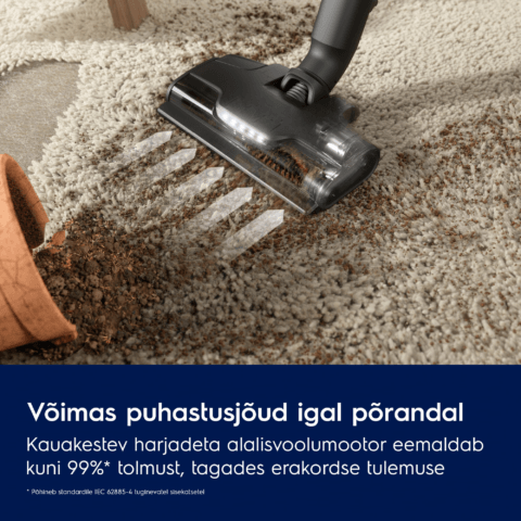 Electrolux juhtmevaba tolmuimeja Hygienic UV 800 Seeria EP83HB25UV