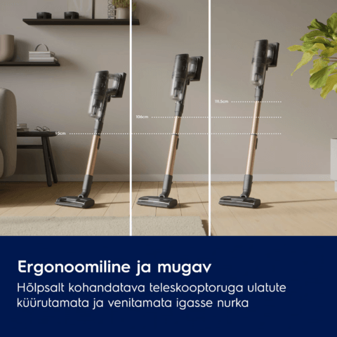 Electrolux juhtmevaba tolmuimeja Hygienic UV 800 Seeria EP83HB25UV