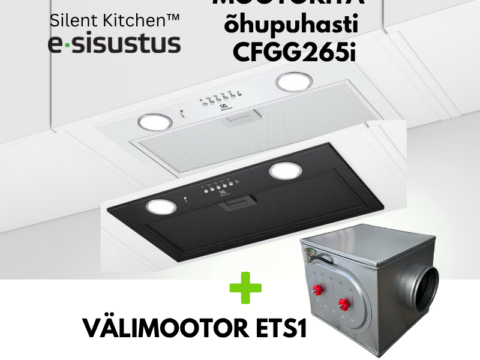 Electrolux mootorita H2H õhupuhasti CFG526i + välimootor ETS1