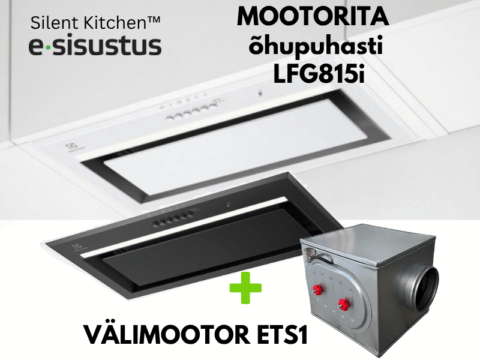 Electrolux mootorita H2H õhupuhasti LFG815i + välimootor ETS1